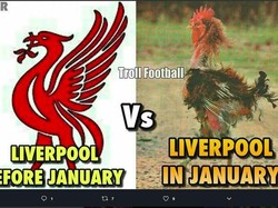 Kalau diibaratkan ayam jago, begini rupa Liverpool usai dua laga di bulan Januari. (Foto: dok.Ist)