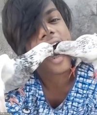 Seru! Pria Ini Beri Makan Burung Merpatinya Langsung Lewat Mulut