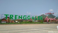 Bernama Trenggalek Agropark, kini menjadi salah satu magnet bagi masyarakat lokal dan sekitarnya. Sebagai destinasi wisata sekaligus sarana edukasi dalam bidang pertanian (Adhar Muttaqin/detikTravel)
