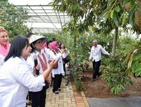 Jateng Surganya Durian Enak, Ganjar Pranowo dan Iriana Jokowi Sudah Membuktikan