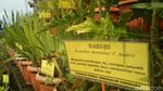 Foto: Agrowisata Kekinian dari Trenggalek