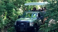 Traveler pun bisa naik mobil wisata untuk berkeliling (Kualoa Ranch)
