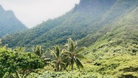 Tempat postingan itu adalah Kualoa Ranch Hawaii, sebuah cagar alam pivat yang terletak di O’ahu, Hawaii (Kualoa Ranch)