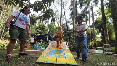 5 Taman akan Dipermak Pemprov DKI dengan Budget Rp 140 M