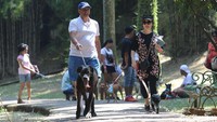 Taman Langsat menjadi taman keempat yang akan direvitalisasi. Taman-taman tersebut akan dibuat dengan berbagai macam tema. Grandyos Zafna/detikcom/File.