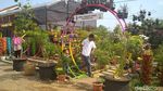 Foto: Agrowisata Kekinian dari Trenggalek