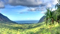 Cagar alam seluas 4.000 hektar ini memiliki sejumlah atraksi yang beraneka ragam (Kualoa Ranch)