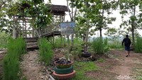 Gardu Pandang Puncak Gunung Gede masih dalam pengembangan dan baru dibuka sejak 2 tahun lalu. Sejalan dengan pengembangan itu, saat ini di gardu pandang tersebut telah dibangun sejumlah fasilitas berupa spot foto, gazebo, toilet dan musala (Pradito Rida Pertana/detikTravel) 