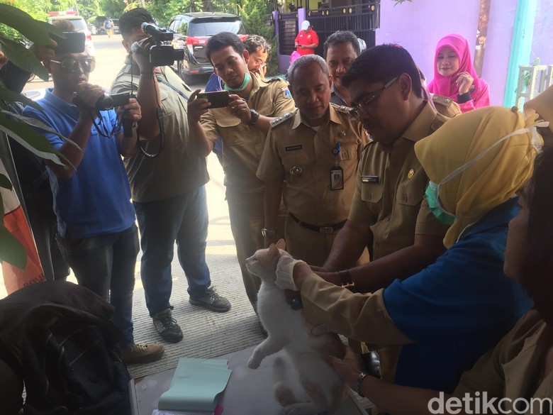 Tak Jadi Dirazia, Anjing-Kucing di Ciracas Divaksin Rabies Tak Jadi Dirazia, Anjing-Kucing di Ciracas Divaksin Rabies