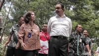 Menurut Kepala Dinas Kehutanan Suzi Marsita revitalisasi taman masih dalam tahap perencanaan. Pradita Utama/detikFoto.