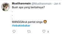 Ternyata semakin banyak netizen yang ikut meramaikan cuitan soal tebak-tebakan ini. Bahkan ada yang terkesan maksa. Foto: Twitter