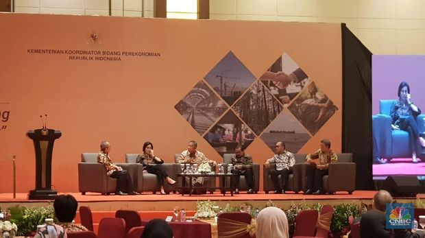 Darmin: Impor Meningkat Cepat, Ini Krusial untuk Diselesaikan