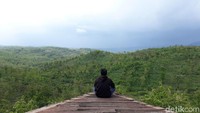 Adalah Gardu Pandang Puncak Gunung Gede yang punnya pemandangan alam berupa hijaunya pepohonan dan perbukitan dari ketinggian (Pradito Rida Pertana/detikTravel)
