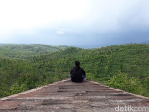 Hijaunya Gardu Pandang Gunung Gede yang Bikin Adem