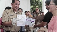 Wakil Wali Kota Jakarta Utara Ali Maulana Hakim menyatakan, kegiatan sosialisasi tersebut tidak diiringi dengan kegiatan penertiban hewan liar sebagaimana rencana sebelumnya.
