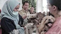 Pemerintah Kota Administratif Jakarta Utara menggelar sosialisasi penyakit rabies dan vaksinasi terhadap hewan peliharaan di Perumahan Gading Griya Lestari, Sukapura, Selasa (8/1/2019).