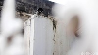 Rumah ini juga dilengkapi CCTV.