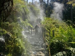 Gunung Gede Pangrango Tutup Pendakian Jelang Tahun Baru dan Prau Menyusul