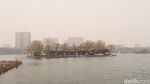 Foto: Daming Lake yang Cantiknya Bikin Baper