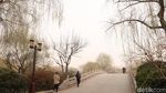 Foto: Daming Lake yang Cantiknya Bikin Baper