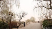 Area ini dibangun dengan gaya China klasik pada tahun 1792. Danau Daming dibuat sebagai pengingat dari Dinasti Ming. (Bonauli/detikTravel)