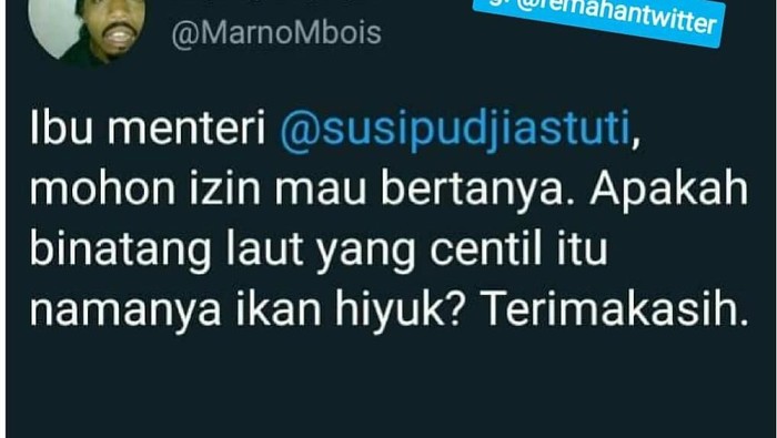 Pertanyaan Kocak Untuk Menteri Susi hingga Gaya Makan Kembaran Pacar