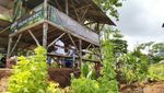 Foto: Pesona Keindahan Agrowisata Alam Murbey di Ciamis