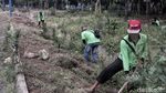 Asyik, Hutan Kota Waduk Cincin Akan Dipercantik