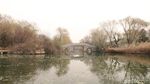 Foto: Daming Lake yang Cantiknya Bikin Baper