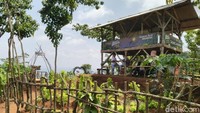 Kembali ke konsep awal, Alam Murbey ini diperuntukan sebagai agrowisata, wisata edukasi terutama bagi anak-anak PAUD dan pelajar (Dadang/detikTravel)
