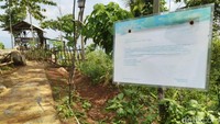 Wisata alam Murbey berada di kawasan pegunungan Desa Ciakar, Kecamatan Cipaku, Kabupaten Ciamis, Jawa Barat (Dadang/detikTravel)