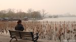 Foto: Daming Lake yang Cantiknya Bikin Baper