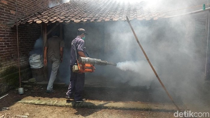 Sepanjang tahun 2018 ada 175 kasus DBD, 2 orang meninggal dunia. Untuk pergantian musim ini, Dinkes Kabupaten imbau lakukan Pemberantasan Sarang Nyamuk (PSN). Foto: Eko Susanto/detikcom Sepanjang tahun 2018 ada 175 kasus DBD, 2 orang meninggal dunia. Untuk pergantian musim ini, Dinkes Kabupaten imbau lakukan Pemberantasan Sarang Nyamuk (PSN). Foto: Eko Susanto/detikcom