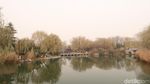 Foto: Daming Lake yang Cantiknya Bikin Baper