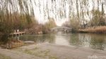 Foto: Daming Lake yang Cantiknya Bikin Baper