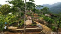 Agrowisata Alam Murbey berdiri di atas lahan milik desa setempat. Lokasinya sekitar setengah jam dari jalan provinsi Ciamis-Cirebon (Dadang/detikTravel)