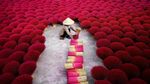Foto: Desa Dupa yang Instagramable di Vietnam