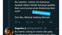  Ada yang tahu bentuk ikan cucut? Kayak mana ya kira-kira anaknya? Foto: Twitter