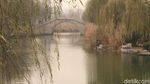 Foto: Daming Lake yang Cantiknya Bikin Baper