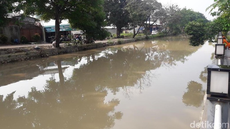 Ikan-ikan di Kali Kemakmuran Bekasi Mabuk Ikan-ikan di Kali Kemakmuran Bekasi Mabuk