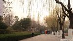 Foto: Daming Lake yang Cantiknya Bikin Baper