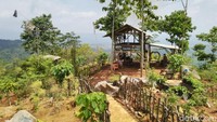Wisata ini mulai dibangun sekitar 6 bulan lalu. Awalnya hanya lahan desa, tapi karena memiliki potensi dikembangkan jadi agrowisata (Dadang/detikTravel)