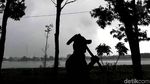 Asyik, Hutan Kota Waduk Cincin Akan Dipercantik