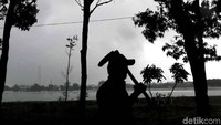 Proses penataan kawasan Hutan Kota Waduk Cincin pun ditargetkan dapat rampung di tahun ini.