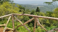 Di lokasi ini pengunjung bisa menikmati panorama alam di atas ketinggian (Dadang/detikTravel)