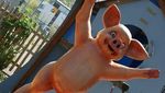 Foto: Museum Ini Isinya Tentang... Babi