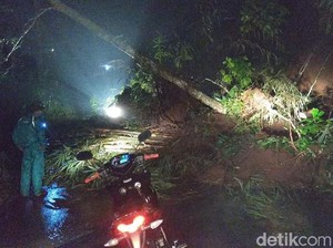 Hujan Deras Disertai Angin Picu Pohon Tumbang dan Longsor di Kediri