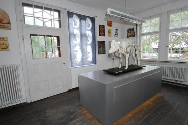 Koleksi museum juga beraneka ragam. Seperti celengan, boneka, pin, koin, dan aneka barang lainnya (Schweinemuseum/Facebook) Koleksi museum juga beraneka ragam. Seperti celengan, boneka, pin, koin, dan aneka barang lainnya (Schweinemuseum/Facebook)