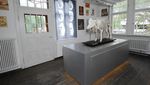 Foto: Museum Ini Isinya Tentang... Babi