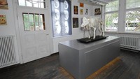 Koleksi museum juga beraneka ragam. Seperti celengan, boneka, pin, koin, dan aneka barang lainnya (Schweinemuseum/Facebook)